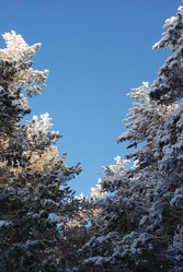 Similar image 501504