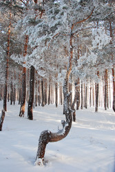 Similar image 501510