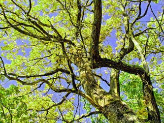 Similar image 501552