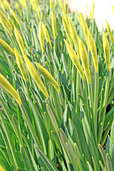 Similar image 501565