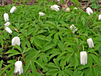 Similar image 501569