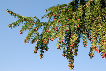 Similar image 501580