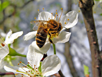 Similar image 501587