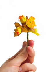 Similar image 501588