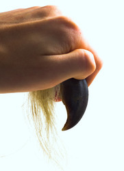 Similar image 501590