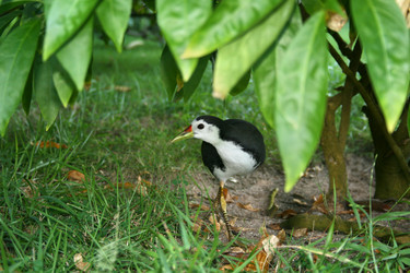 Similar image 501608