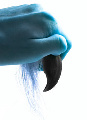 Similar image 501613