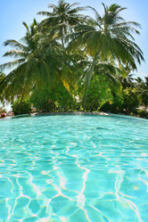 Similar image 501624