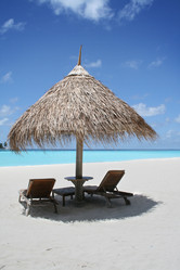 Similar image 501631