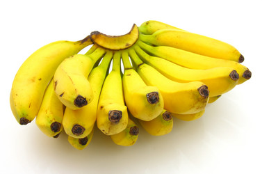 Similar image 501669