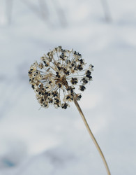 Similar image 501723