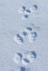 Similar image 501741