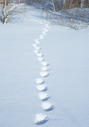 Similar image 501742