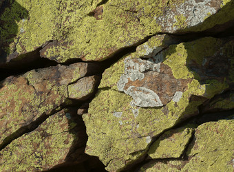 Similar image 501756