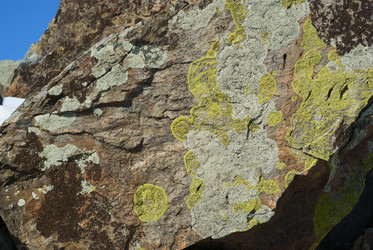 Similar image 501759