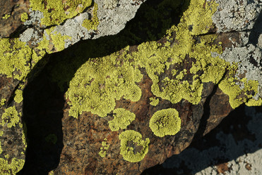 Similar image 501762