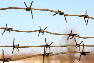 Similar image 501777