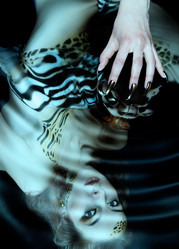 Similar image 501841