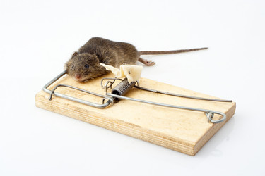 Similar image 501846