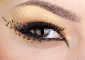 Similar image 501874