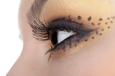 Similar image 501875