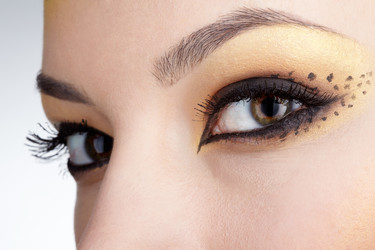 Similar image 501877