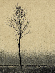 Similar image 502067