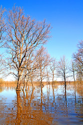 Similar image 502072