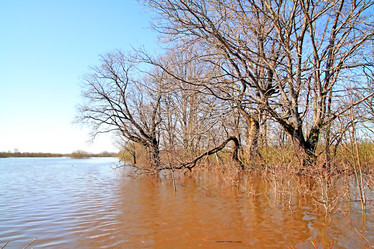 Similar image 502071