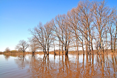 Similar image 502075