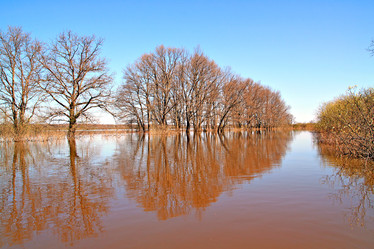 Similar image 502076