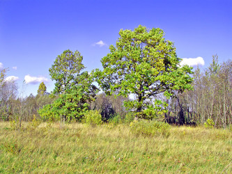 Similar image 502082