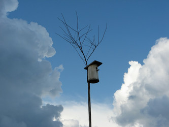 Similar image 502083