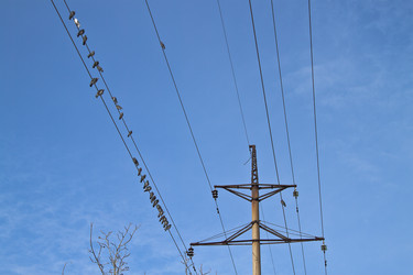 Similar image 502086