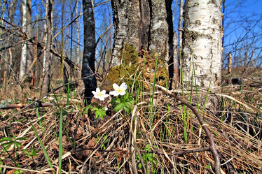 Similar image 502093