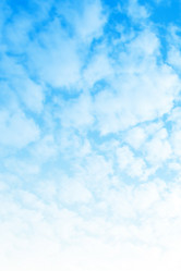 Similar image 502182