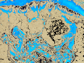 Similar image 502204