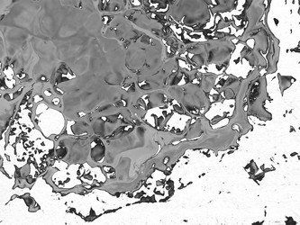 Similar image 502218