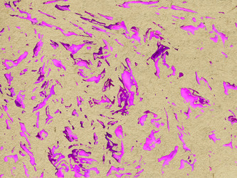 Similar image 502225