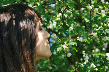 Similar image 502228