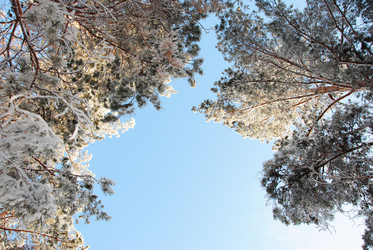 Similar image 502247