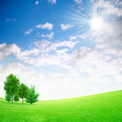 Similar image 502252