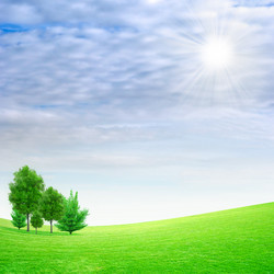 Similar image 502253