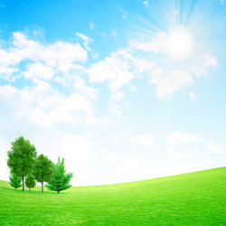 Similar image 502256