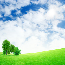 Similar image 502258