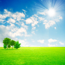 Similar image 502259