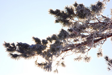 Similar image 502286