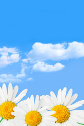 Similar image 502293