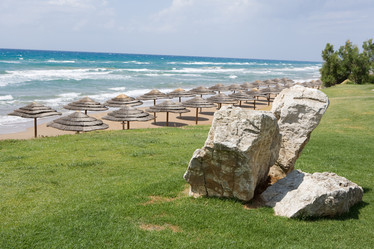 Similar image 502302