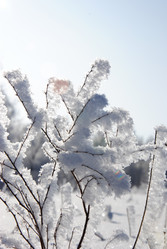 Similar image 502318